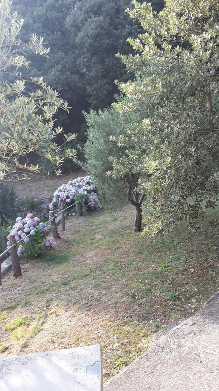 Arvasia Holiday home *